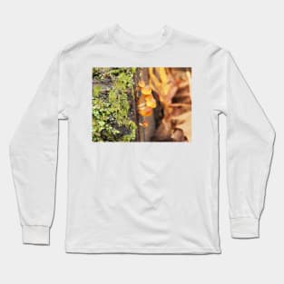 Very young sulphur tuft mushrooms Long Sleeve T-Shirt